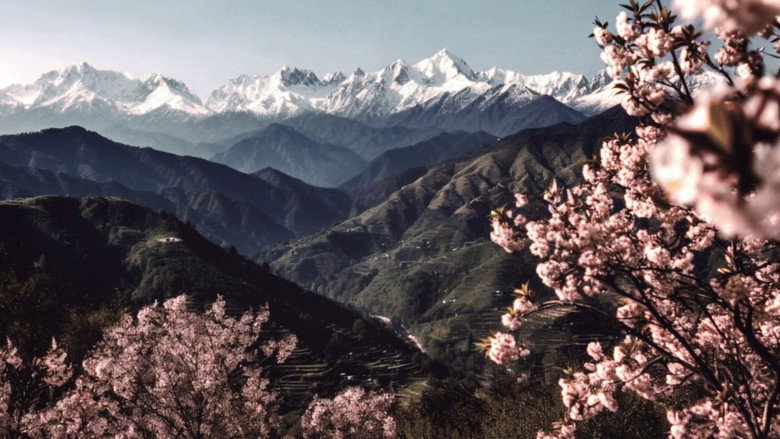 кадр из фильма जुगनूमा