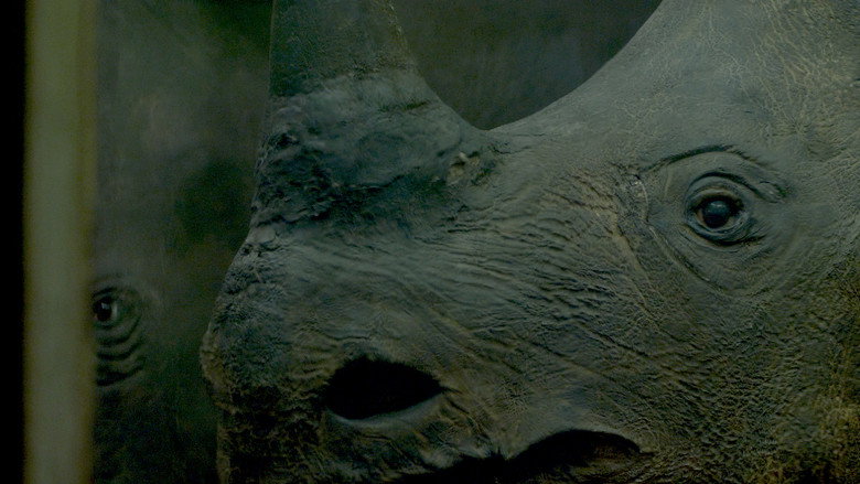 кадр из фильма Little, Big, and Far