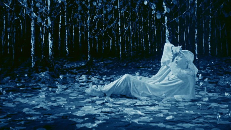 кадр из фильма Rabbit's Moon