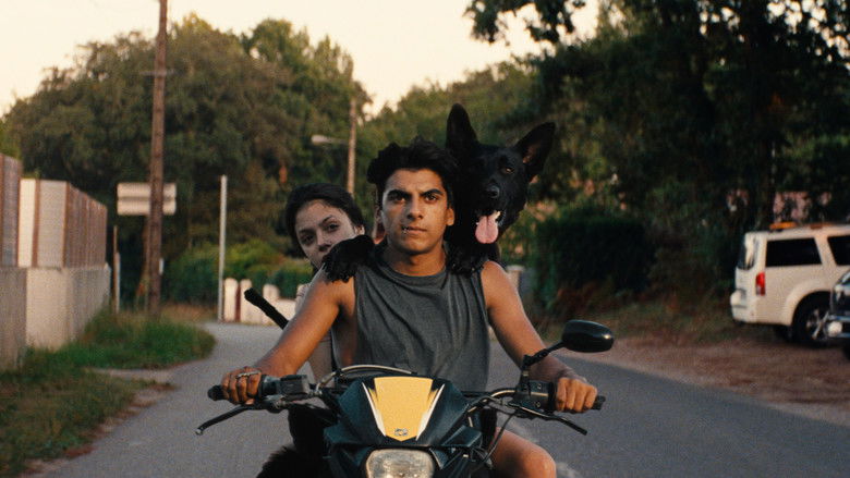 кадр из фильма Ава