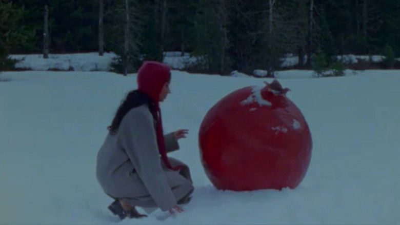 кадр из фильма what does it feel like to live inside a pomegranate?