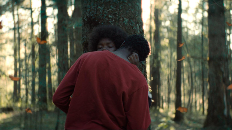 кадр из фильма El jardín que soñamos