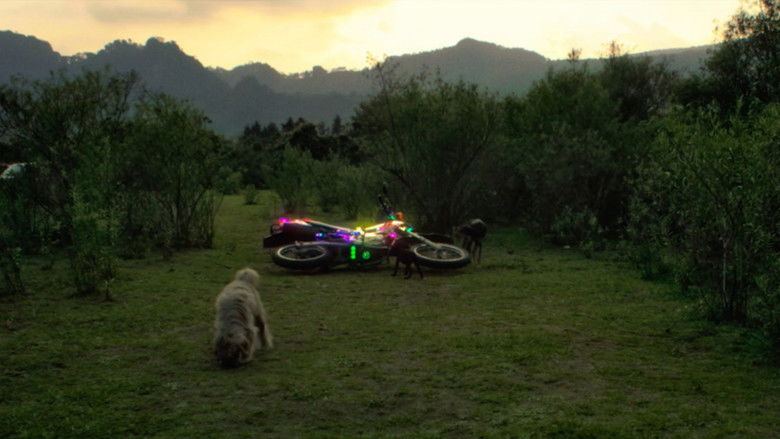 кадр из фильма Al motociclista no le cabe la felicidad en el traje