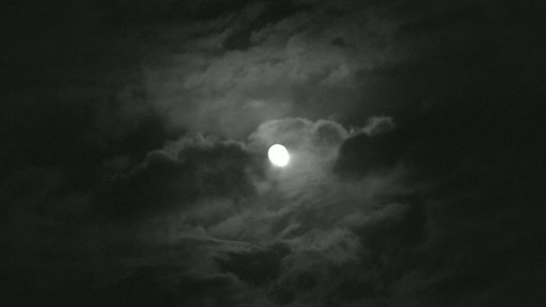 кадр из фильма Лестница