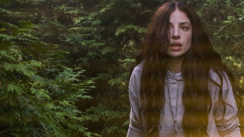 кадр из фильма Остров теней