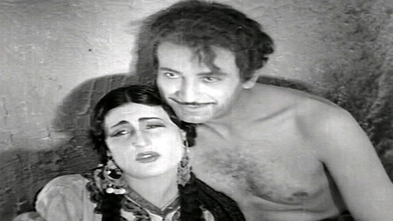 بحبح في بغداد