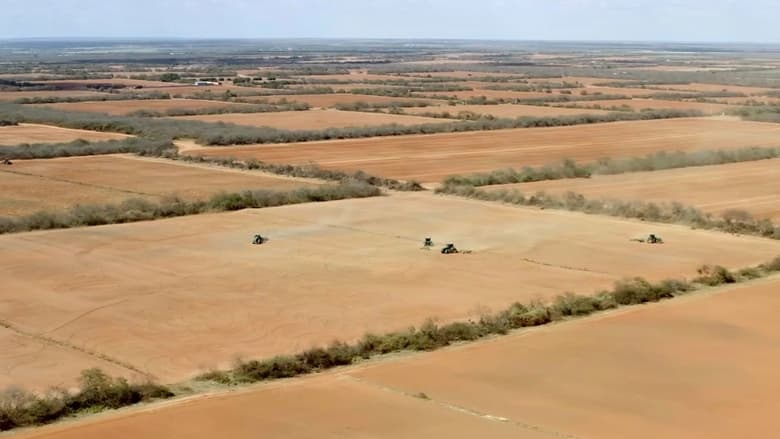 кадр из фильма Pesticides, l'hypocrisie européenne