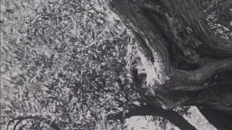 кадр из фильма The Urgent Call of Palestine