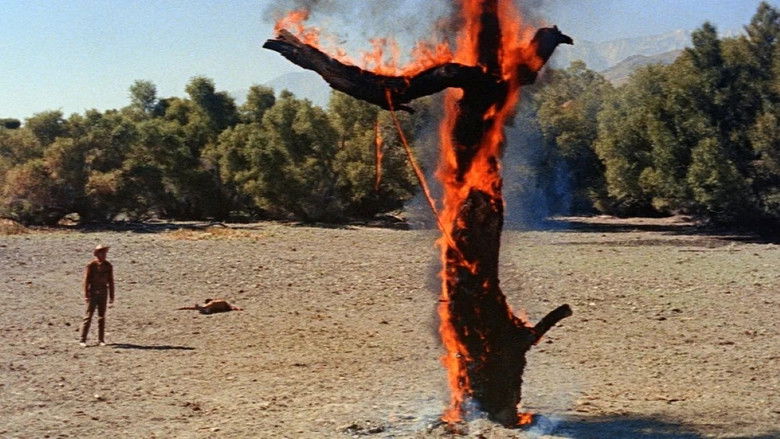 кадр из фильма Одинокий всадник