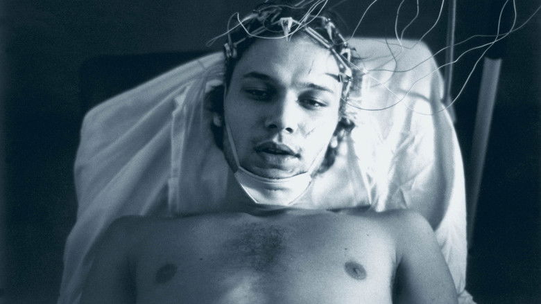 кадр из фильма Wojaczek