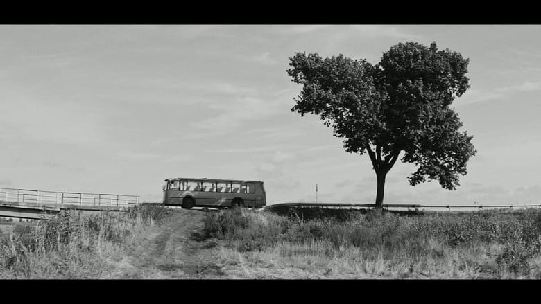 кадр из фильма Przystanek