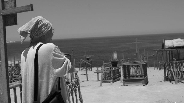 кадр из фильма Pedro Lemebel: Corazón en Fuga