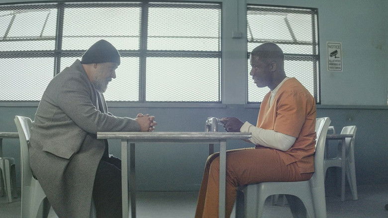 кадр из фильма Спящие псы