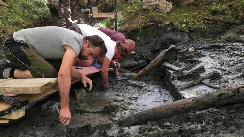 кадр из фильма Mystery of the Celtic Tomb