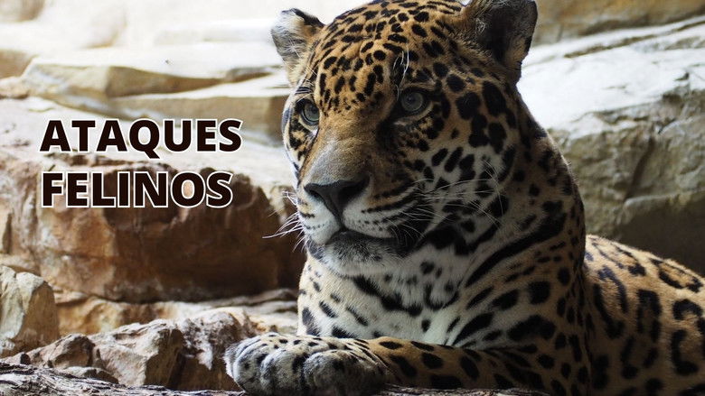 кадр из фильма Cat Attack-Tics