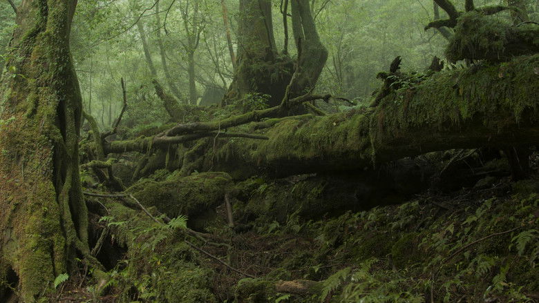 кадр из фильма Do you hear the wind in the pine trees?