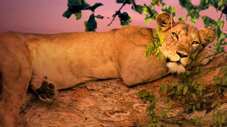 кадр из фильма Дикая Уганда