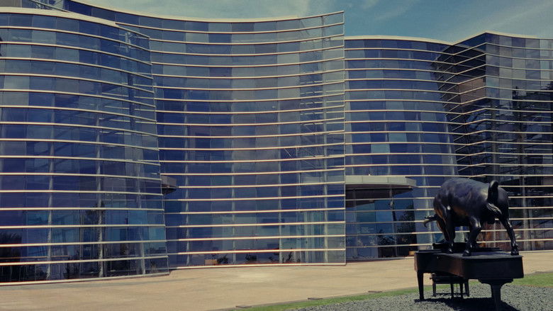 кадр из фильма New Zealand