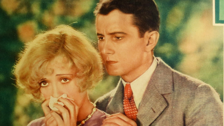 кадр из фильма Not So Dumb