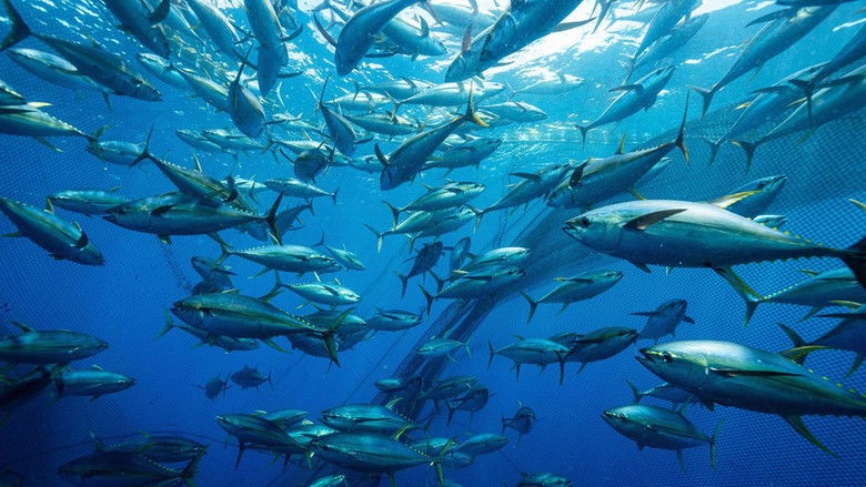 кадр из фильма Thunfisch - Der bedrohte Jäger