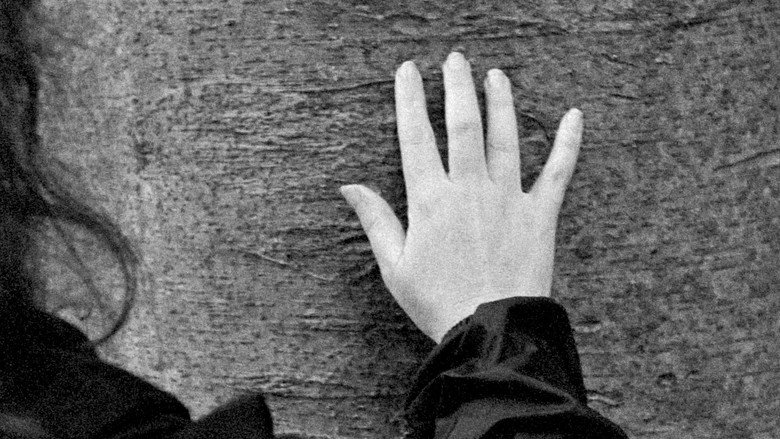 кадр из фильма Un chant aveugle