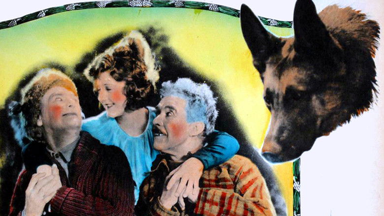 кадр из фильма The Love Master