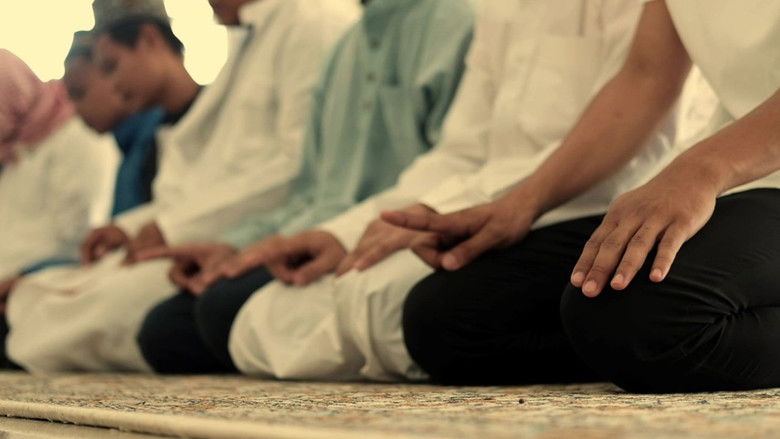 Under the Crescent Moon