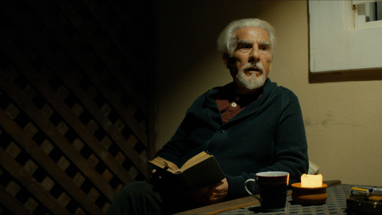 кадр из фильма Το Μυστικό του Δάσους