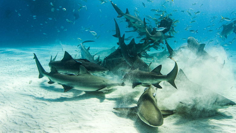 кадр из фильма Cannibal Sharks