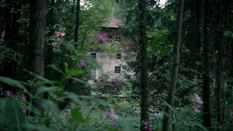 кадр из фильма Monsters