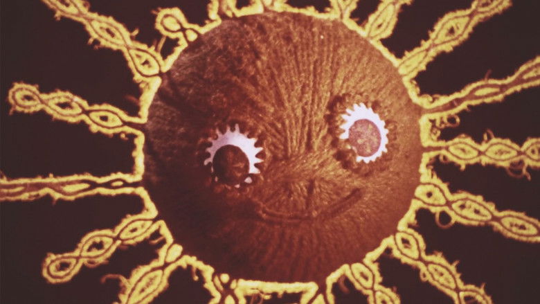 Ниточка и котёнок