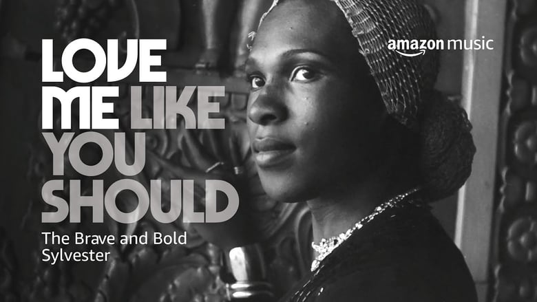 кадр из фильма Love Me Like You Should: The Brave and Bold Sylvester