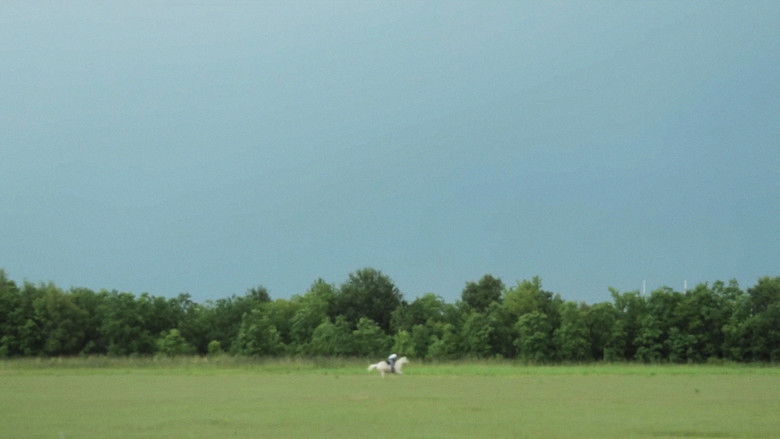 кадр из фильма The Roper