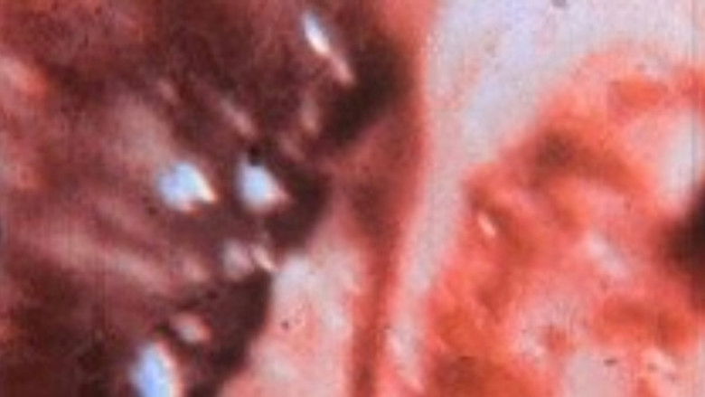 кадр из фильма Sodom