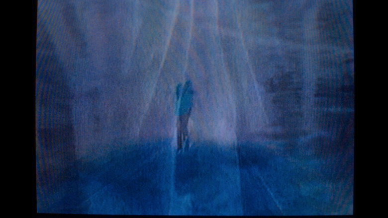 кадр из фильма The Dirt Knows.