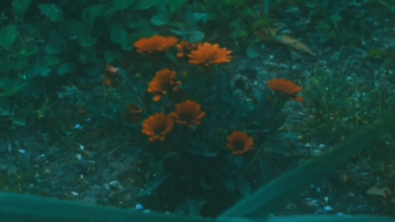 кадр из фильма Nostalgia of Everything