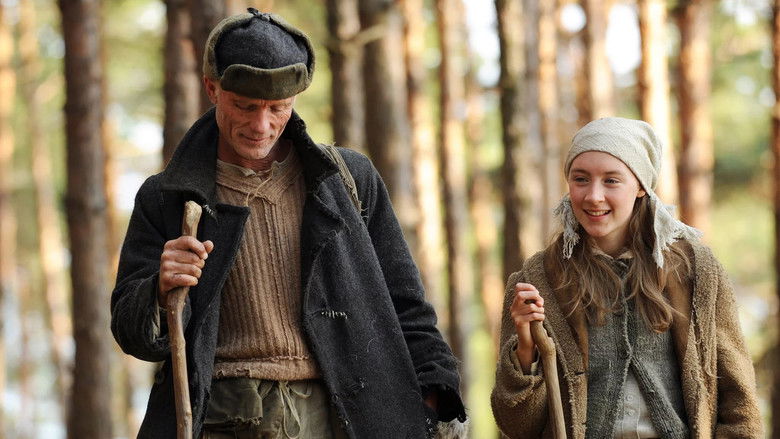 кадр из фильма Путь домой