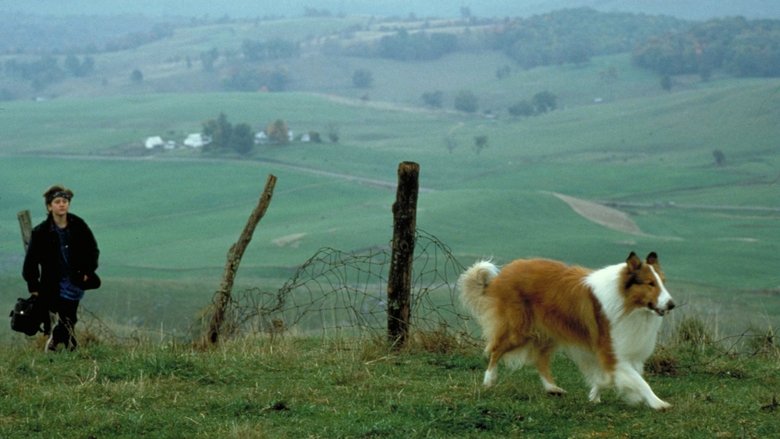 кадр из фильма Лэсси