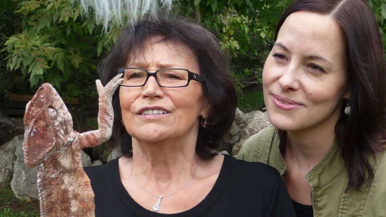 кадр из фильма Magický hlas rebelky