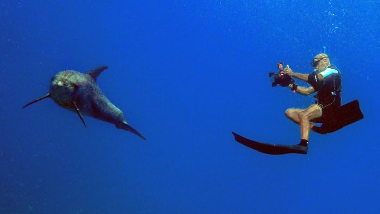 кадр из фильма Homme et Dauphin : Mode d’emploi