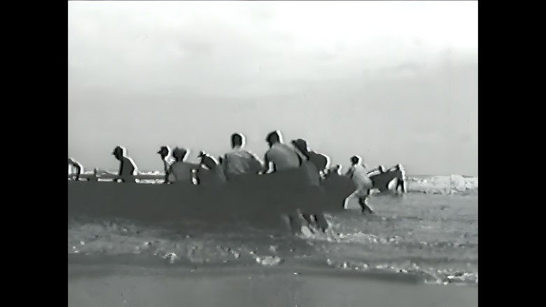 кадр из фильма Vento Norte