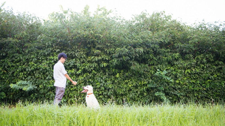 кадр из фильма 盲點