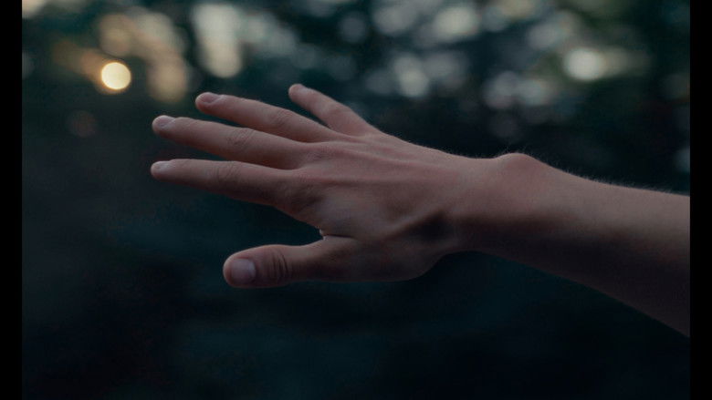 кадр из фильма les grillons.