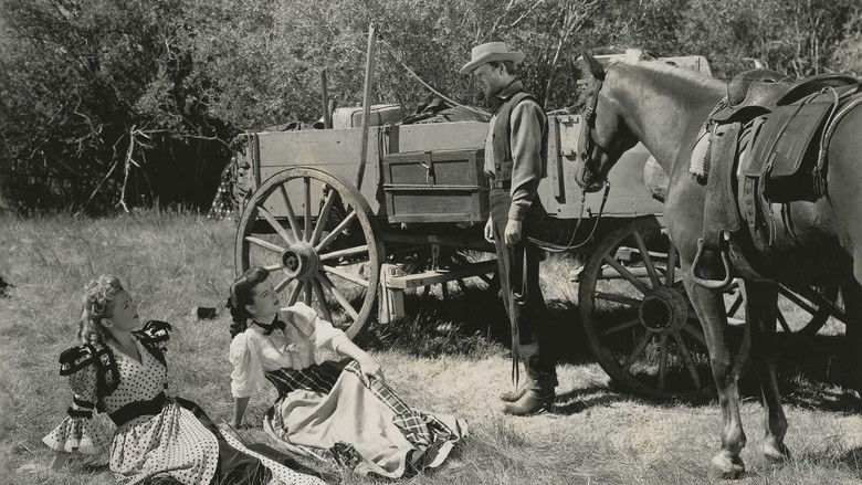 кадр из фильма Roughshod