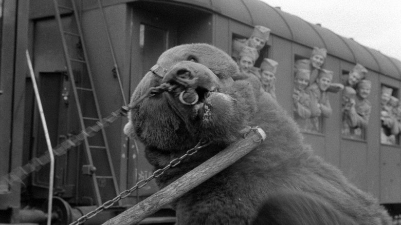 кадр из фильма Три