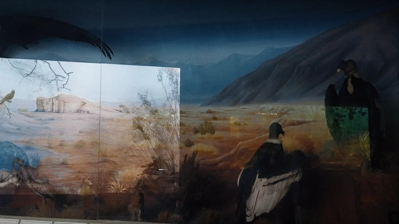 кадр из фильма Las panteritas