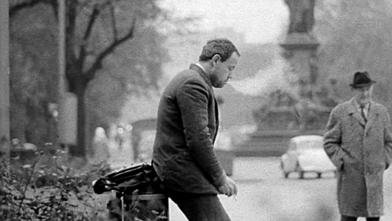 кадр из фильма Городской бродяга