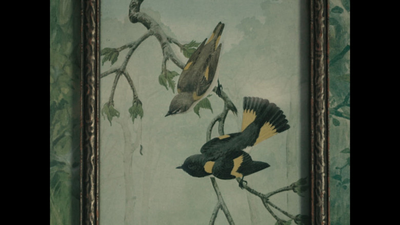 кадр из фильма Pavilion