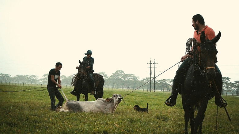 кадр из фильма Guates