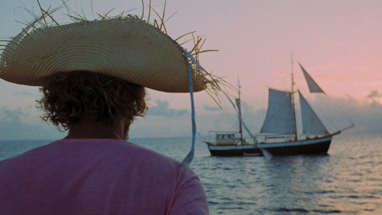 кадр из фильма Спасшиеся с острова Черепахи